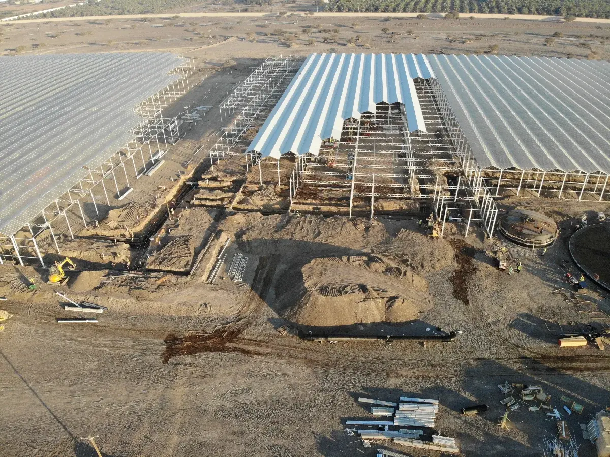 Ajban Green Leaf Greenhouse Construction